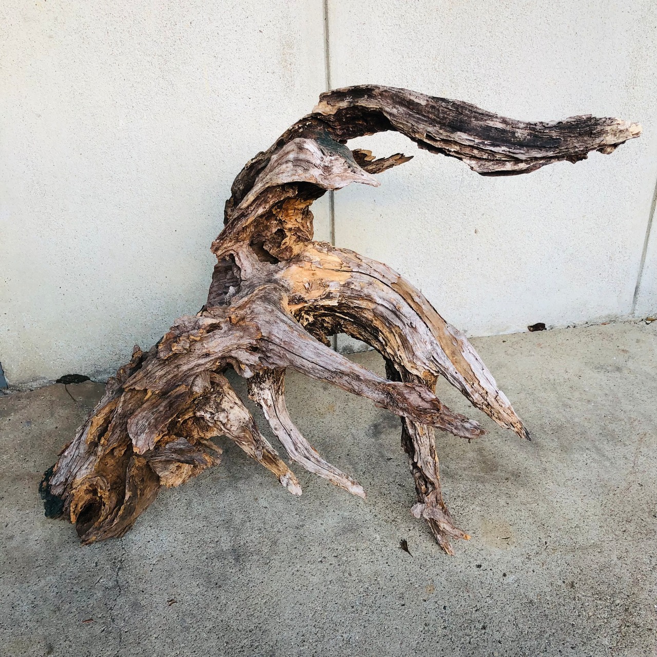 淡水流木　150サイズ　4500g